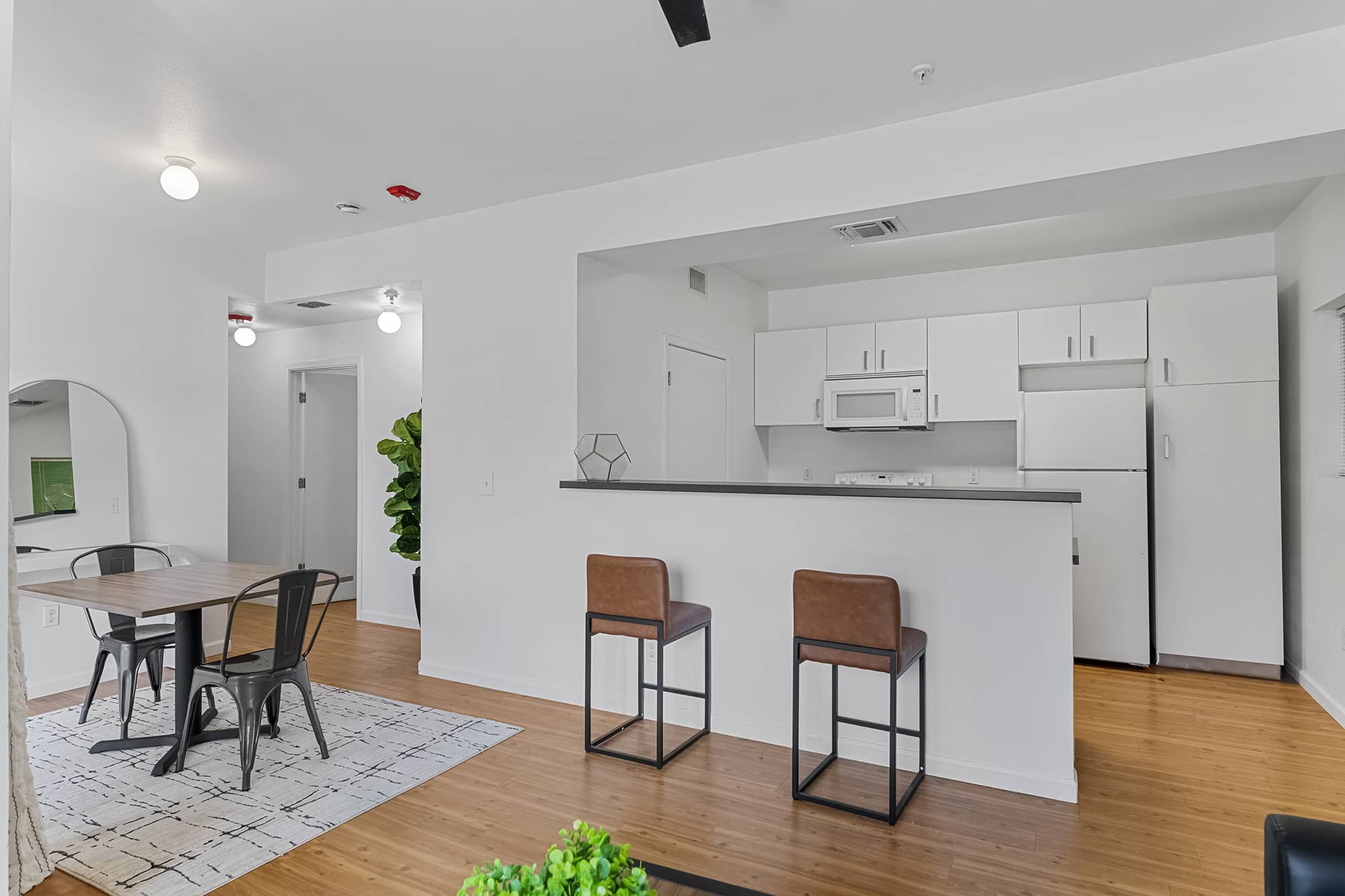 green-spring-apartments-near-txst-kitchen-and-dining-space