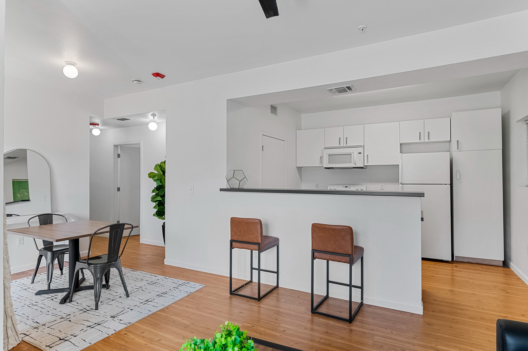 Green Spring Apartments near TXST kitchen and dining space